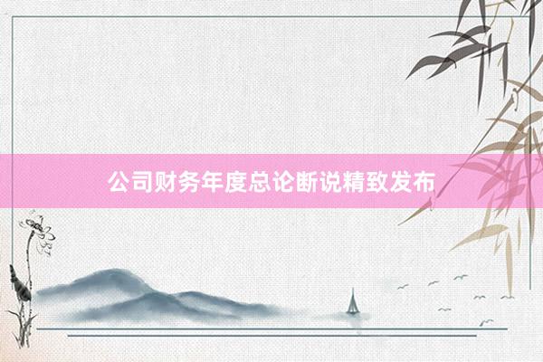 公司财务年度总论断说精致发布