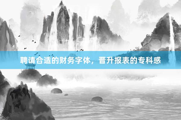 聘请合适的财务字体，晋升报表的专科感
